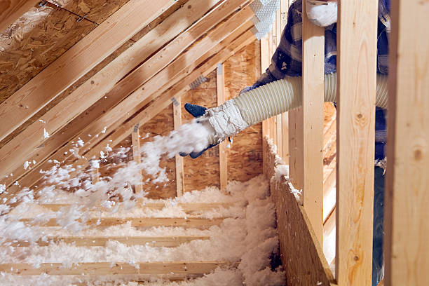 Eco-Friendly Insulation Solutions in Edwards, MS